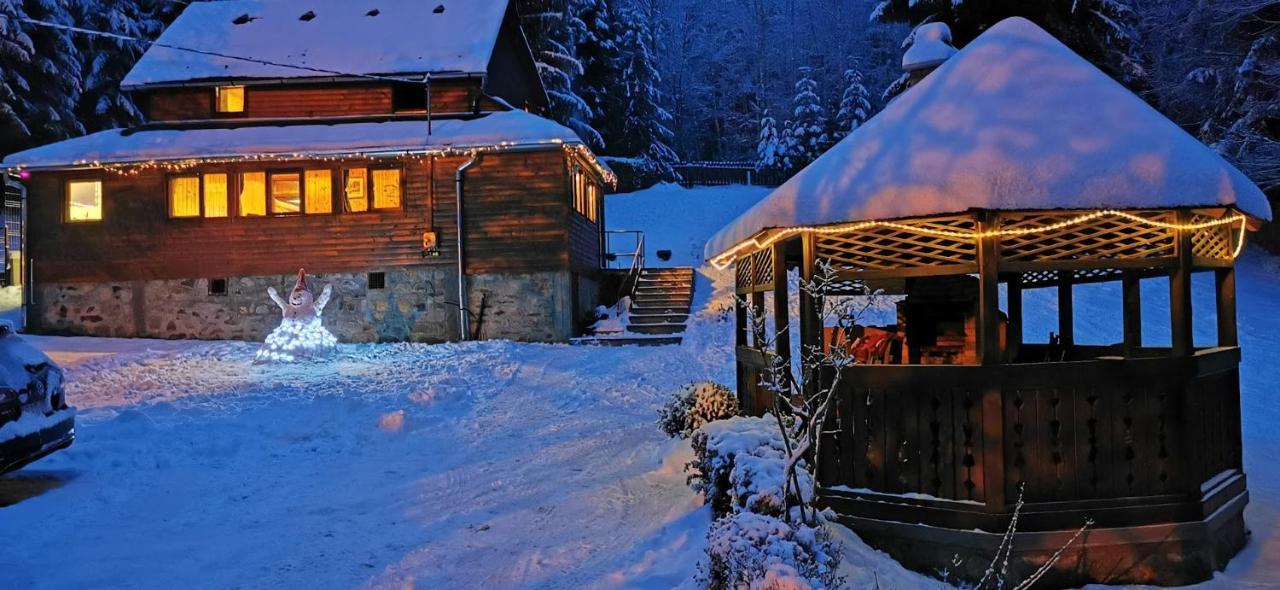 Chalet Patakvoelgye Vendeghaz Izvoare (Harghita)